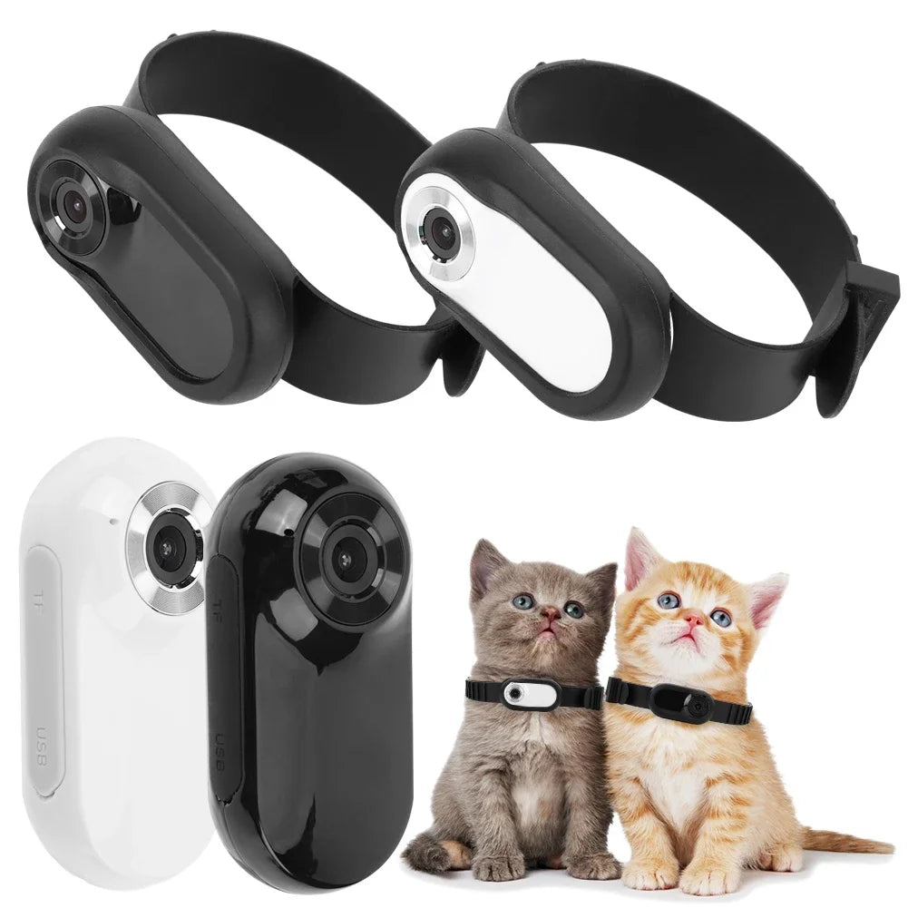Collare con mini telecamera per cani e gatti - Visione immersiva e HD
