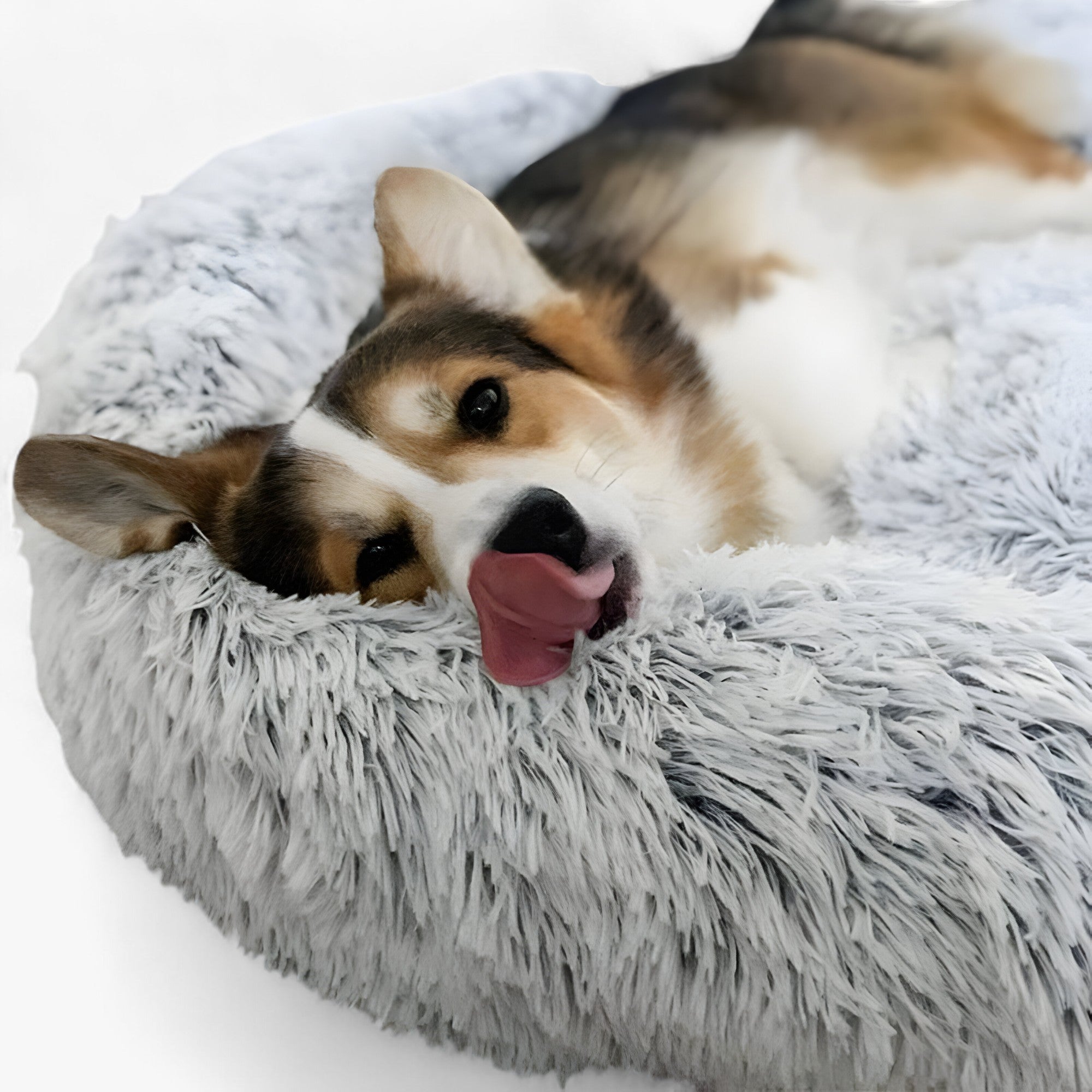 Pat confortabil pentru animale – confort moale și somn reparativ