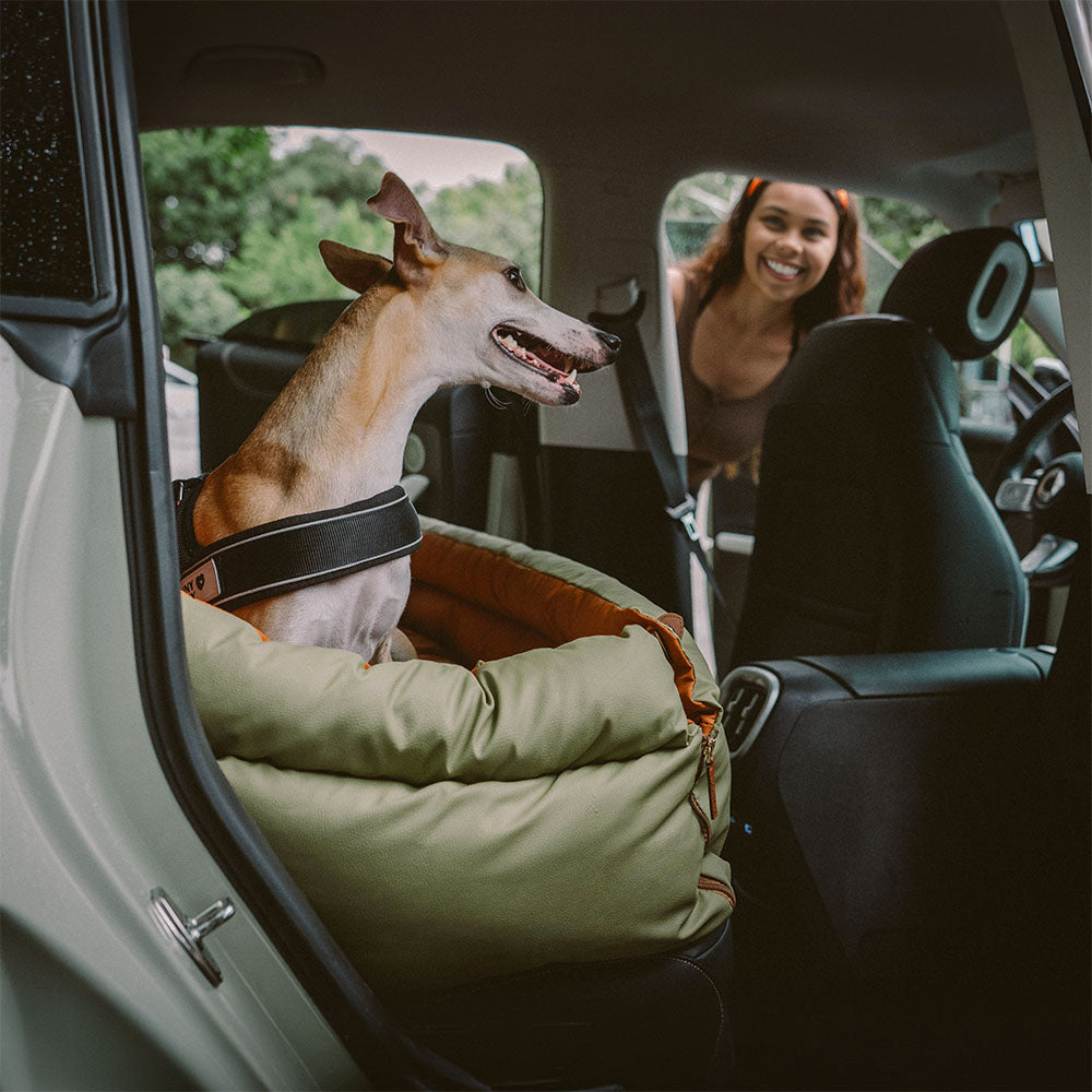 犬用カーシート – 快適さと保護