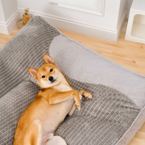 Grande Cuscino Per Cane – Comfort Ottimale E Supporto Morbido
