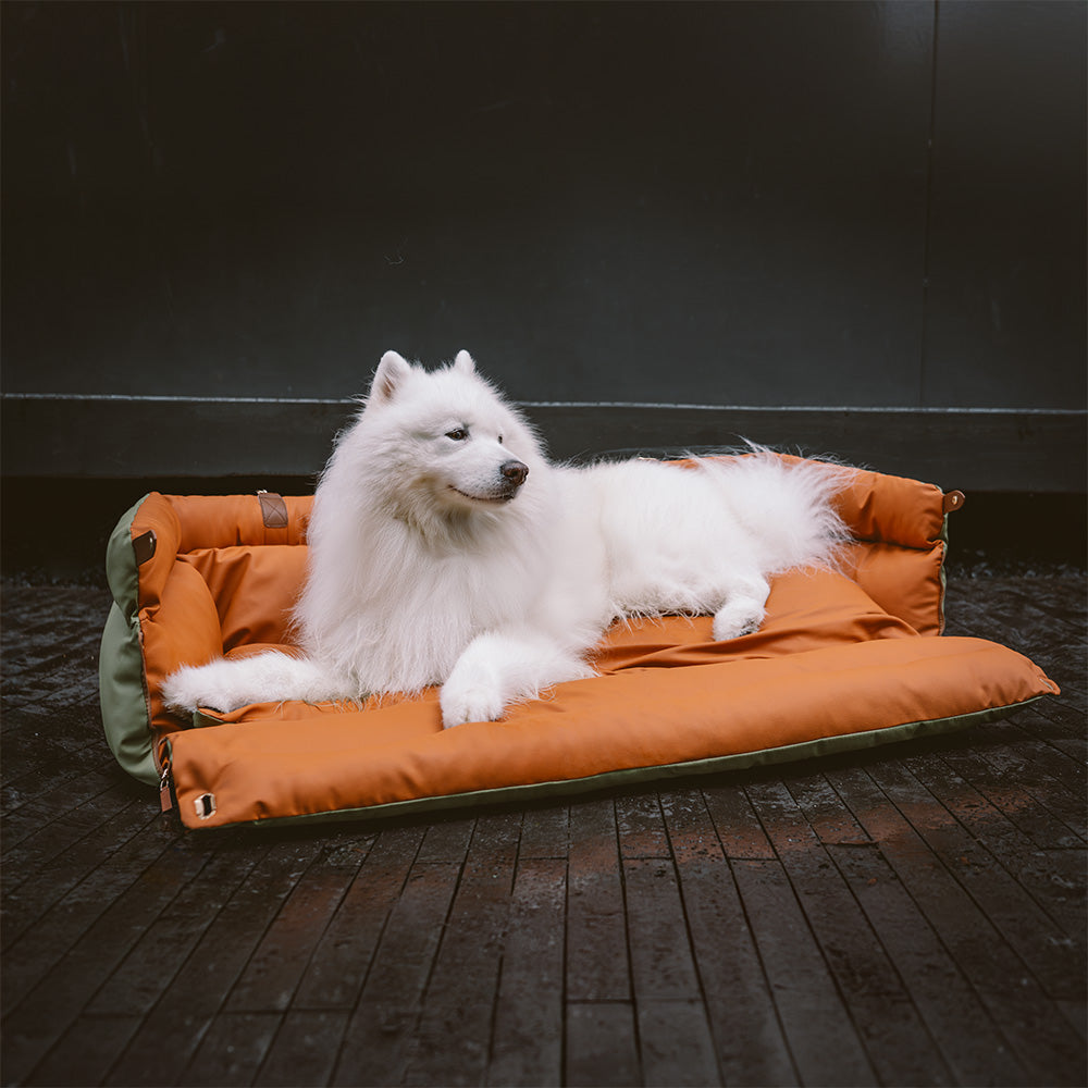 犬用カーシート – 快適さと保護