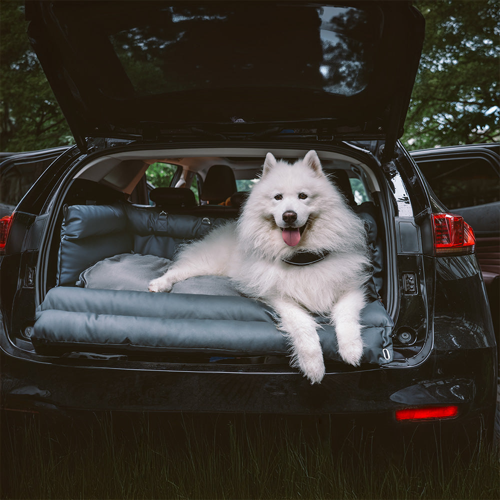 犬用カーシート – 快適さと保護