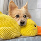 Brinquedo Pato Relaxante Para Cão – Companheiro De Jogo E De Relaxamento 