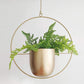 Wall Suspension – Industrial and Modern Elegance 