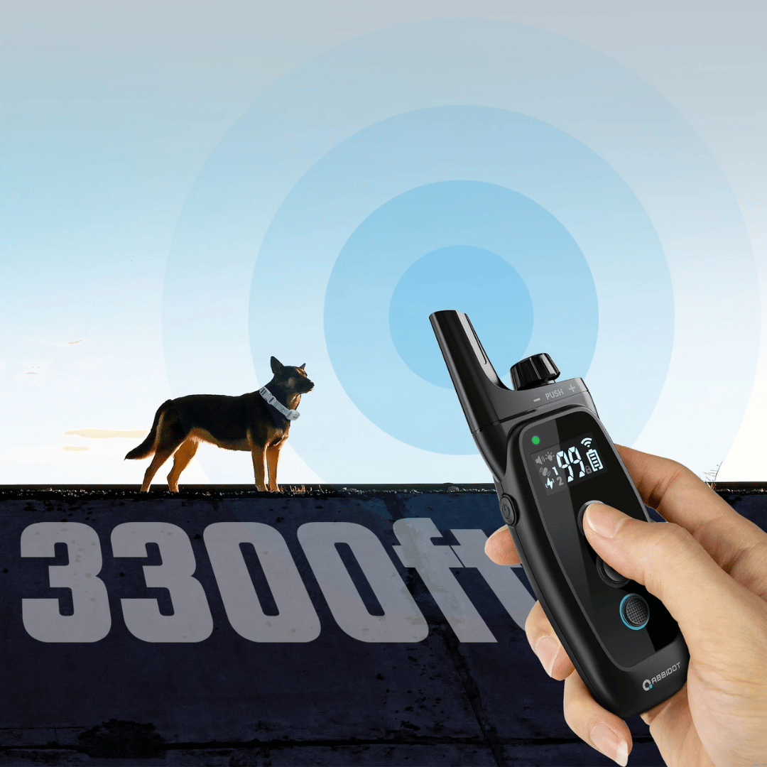 Dressurhalsbånd til Hund – LED Fjernbetjening og Rækkevidde 1000 m 