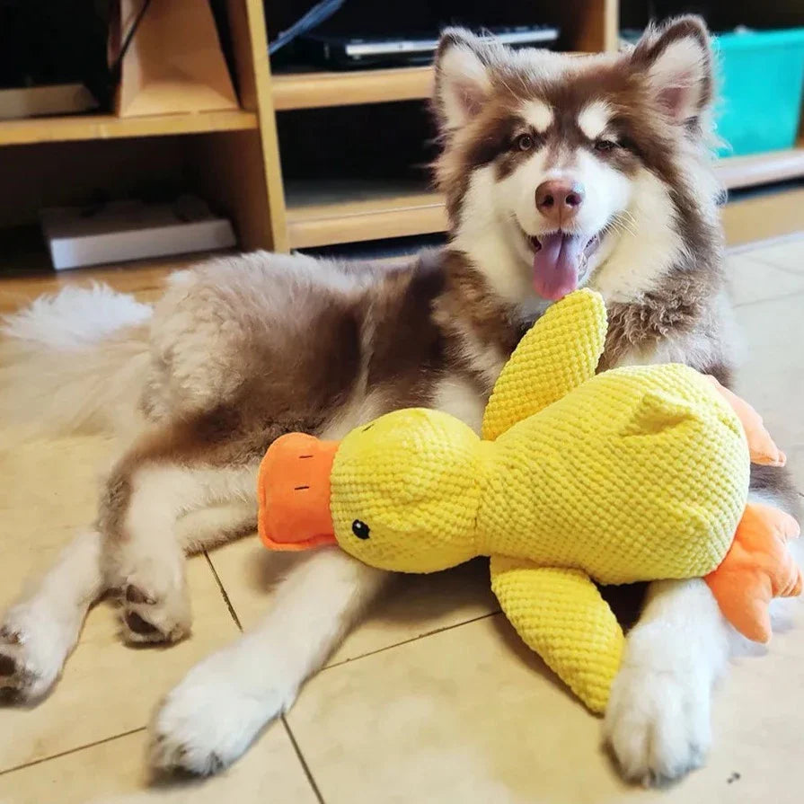 Brinquedo Pato Relaxante Para Cão – Companheiro De Jogo E De Relaxamento 