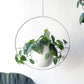 Wall Suspension – Industrial and Modern Elegance 