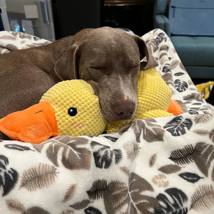 Brinquedo Pato Relaxante Para Cão – Companheiro De Jogo E De Relaxamento 