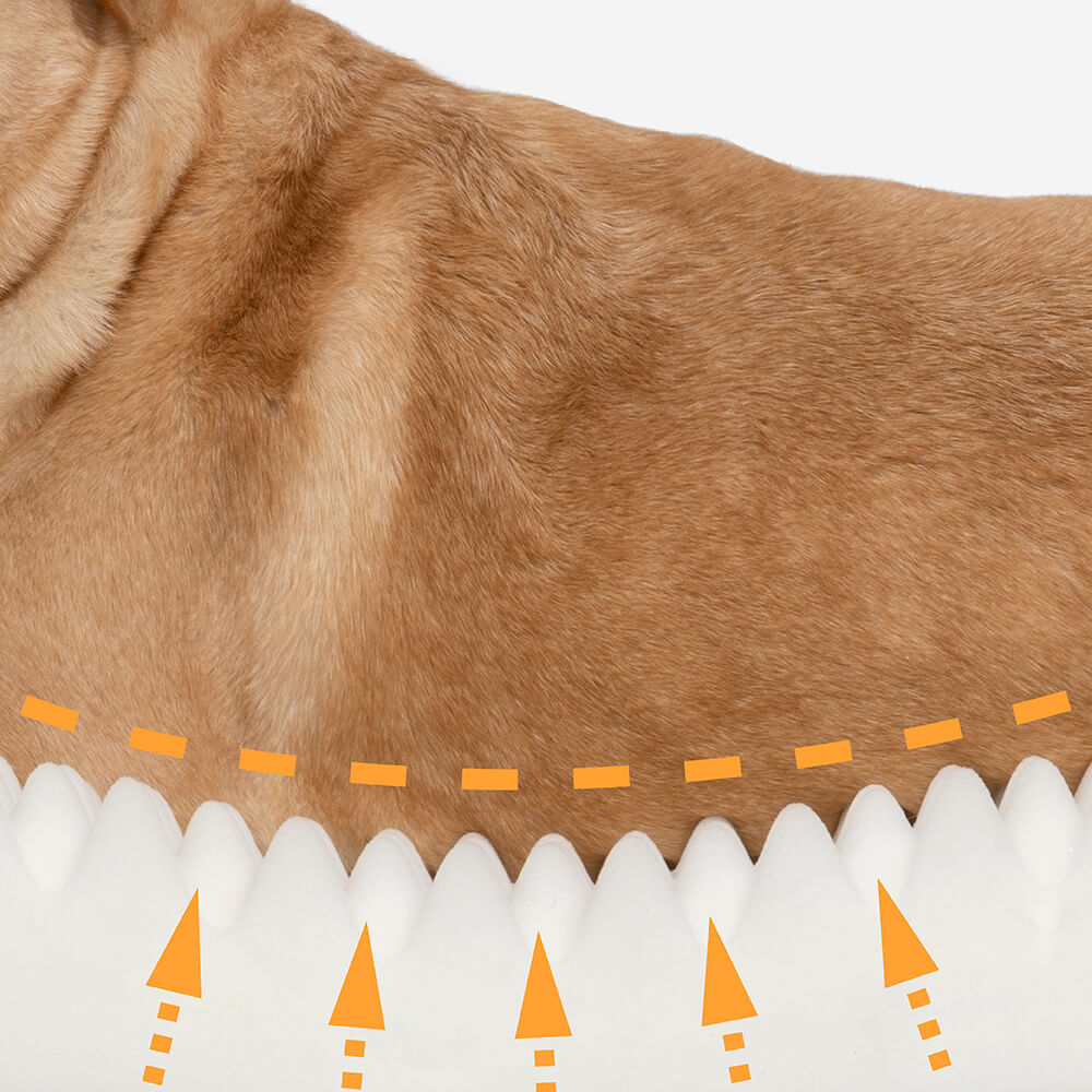 Letto a forma di ciambella per cani – Comfort e dolcezza 