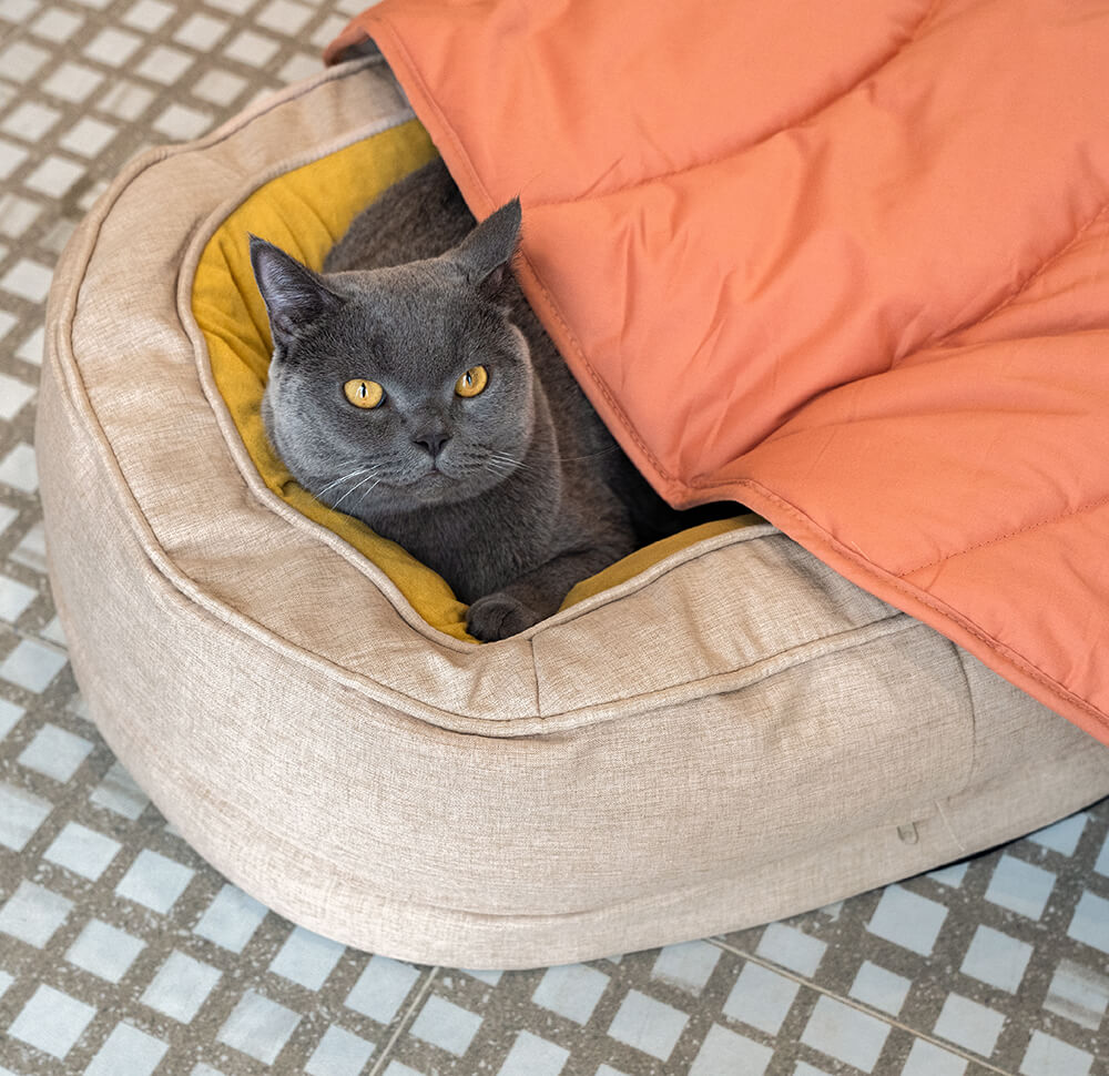 Letto a forma di ciambella per cani – Comfort e dolcezza 