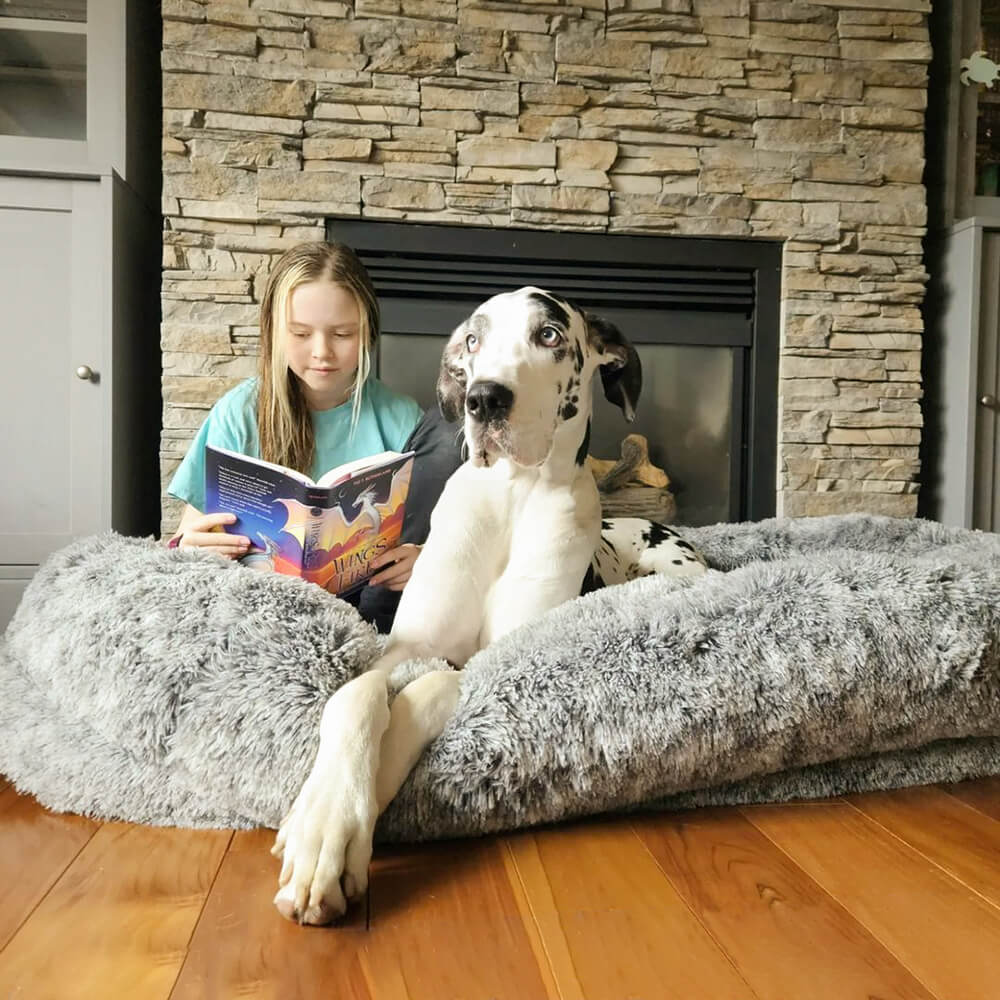 Letto a forma di ciambella per cani – Comfort e dolcezza 