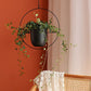 Wall Suspension – Industrial and Modern Elegance 