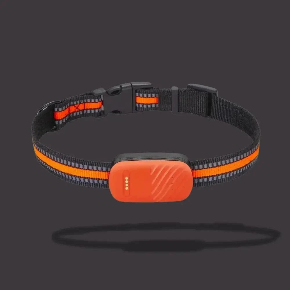 Collier Traceur GPS Pour Chat – Localisation Et Confort Quotidien