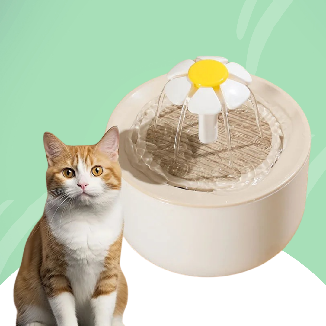 Vannfontene for katt — Kontinuerlig hydrering og alltid friskt vann 
