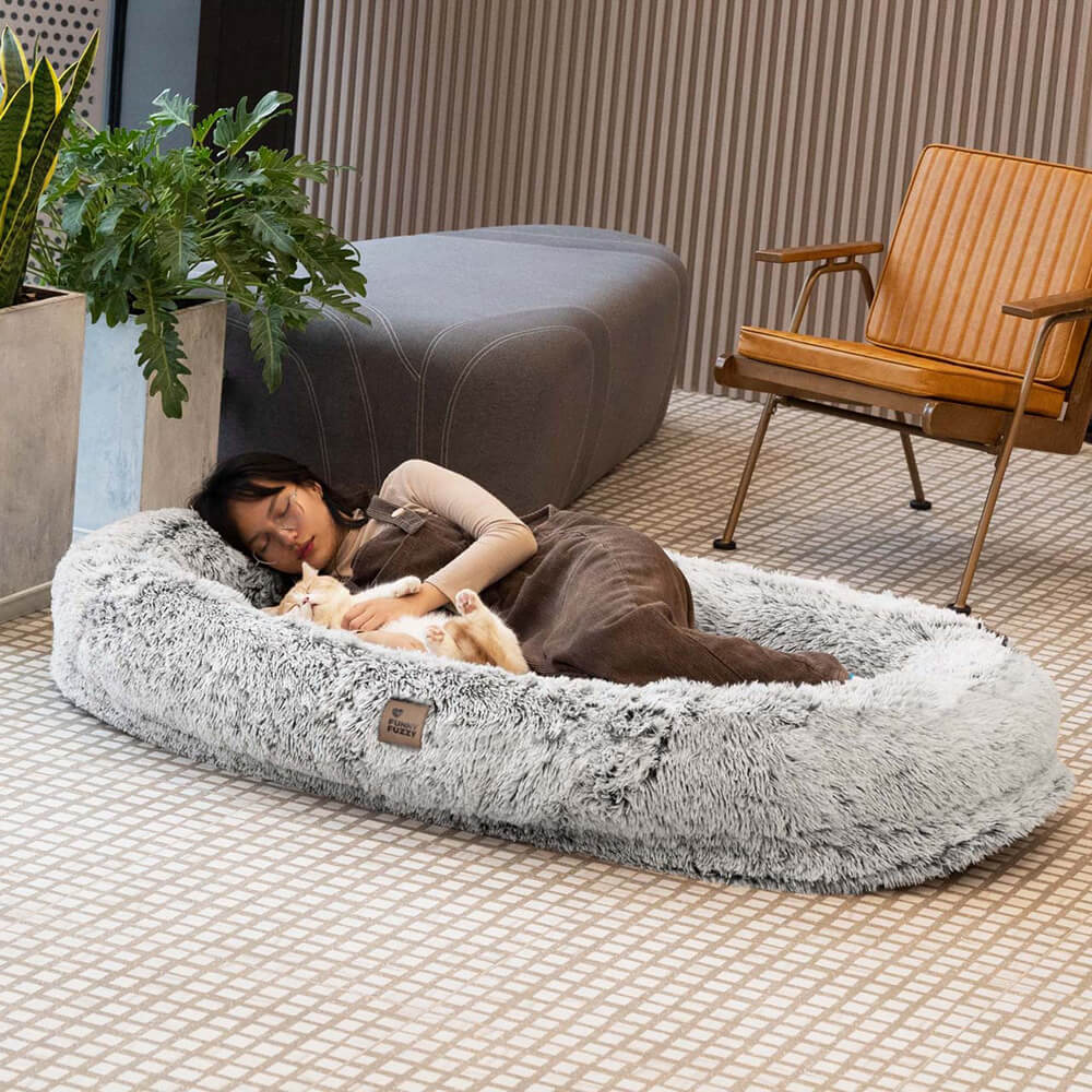 Letto a forma di ciambella per cani – Comfort e dolcezza 