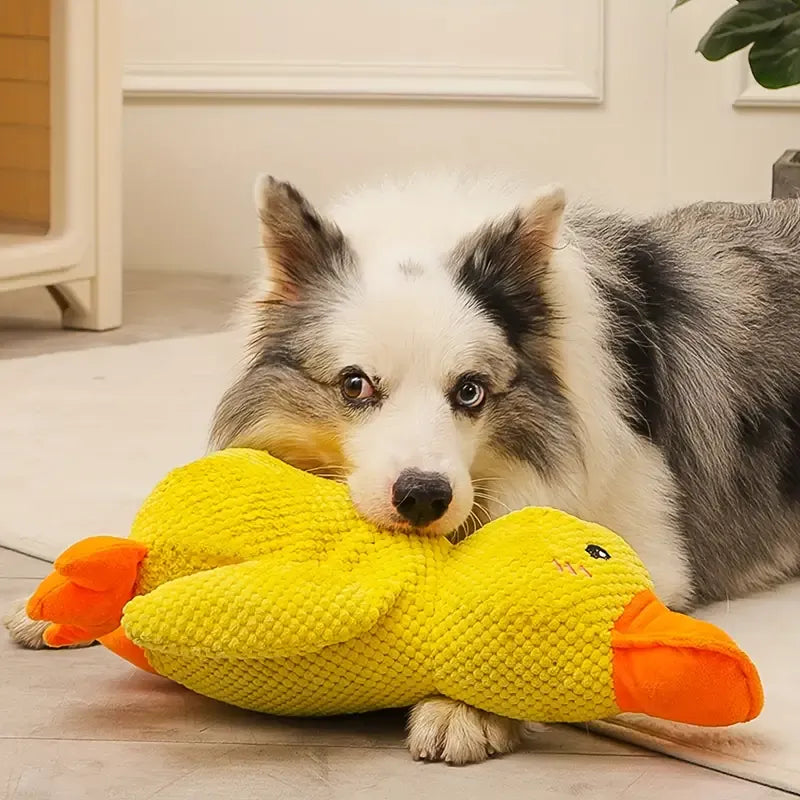 Brinquedo Pato Relaxante Para Cão – Companheiro De Jogo E De Relaxamento 