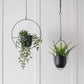 Wall Suspension – Industrial and Modern Elegance 